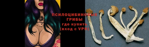 a pvp Алексин