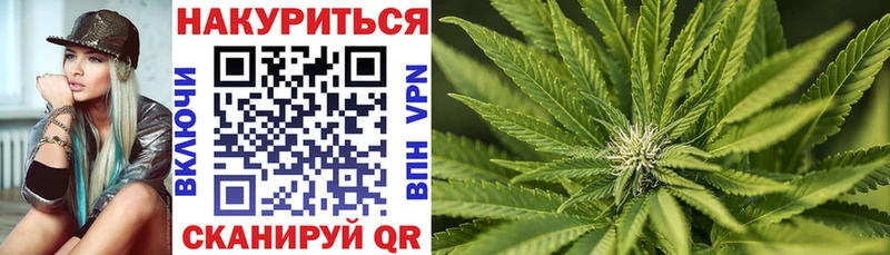 мега сайт  Асино  Шишки марихуана семена 